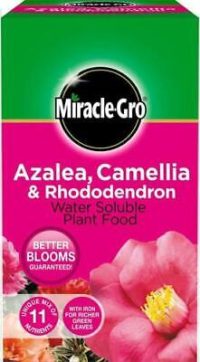 Miracle Gro Azalea, Camellia, Rhododendron Soluble Plant Food 1kg