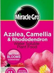 Miracle Gro Azalea, Camellia, Rhododendron Soluble Plant Food 1kg