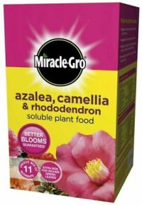 Miracle Gro Azalea, Camellia & Rhododendron Soluble Plant Food 500g