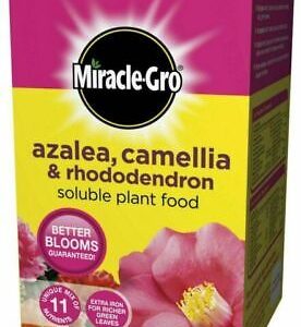 Miracle Gro Azalea, Camellia & Rhododendron Soluble Plant Food 500g